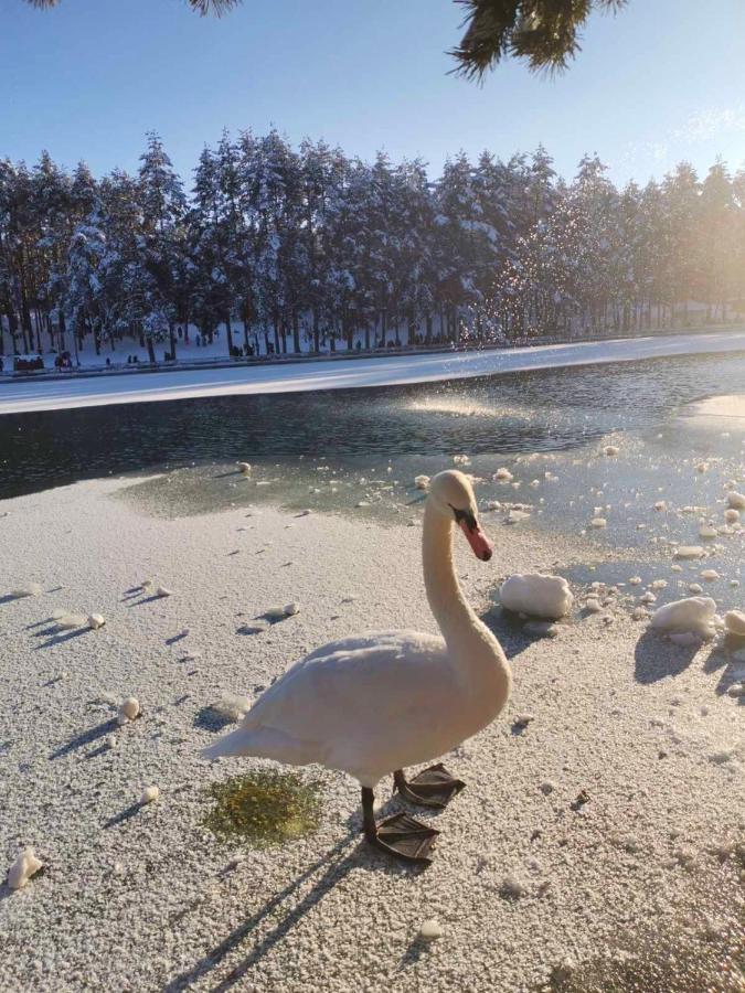 Apartman Nimfa Zlatibor Exteriér fotografie