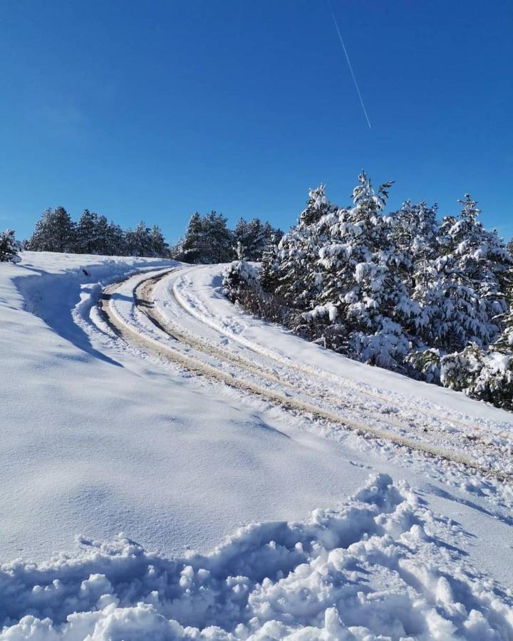 Apartman Nimfa Zlatibor Exteriér fotografie