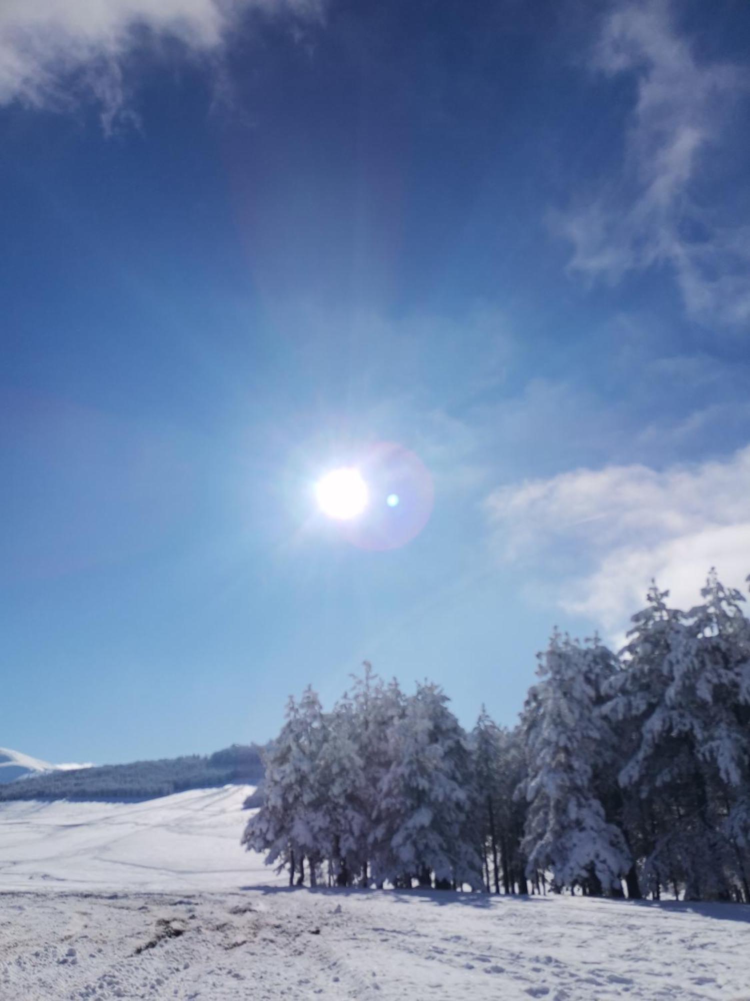 Apartman Nimfa Zlatibor Exteriér fotografie