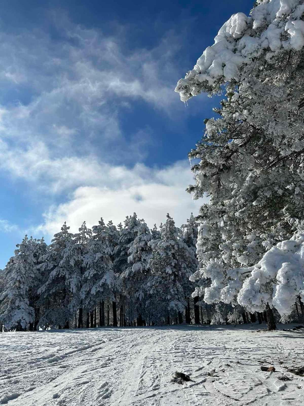 Apartman Nimfa Zlatibor Exteriér fotografie